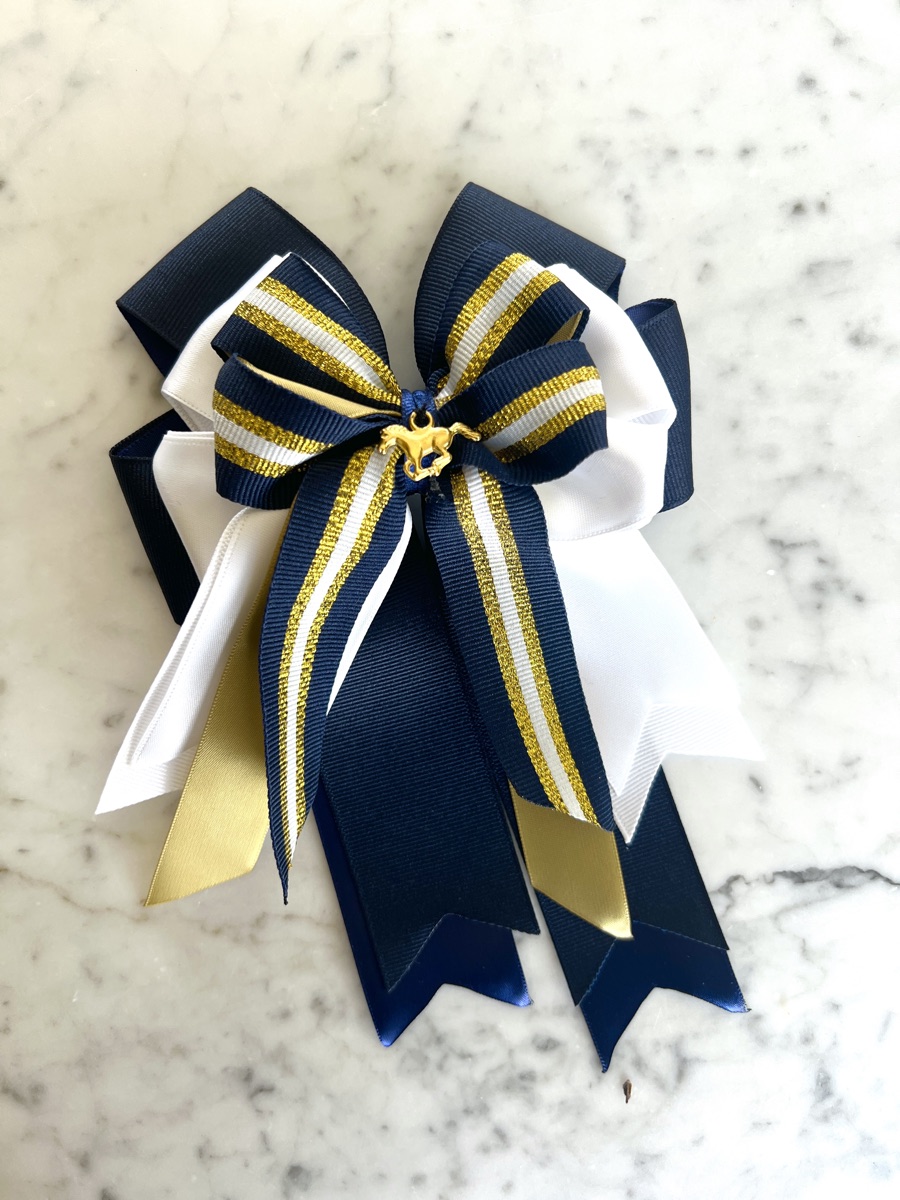 Navy & Gold Pony